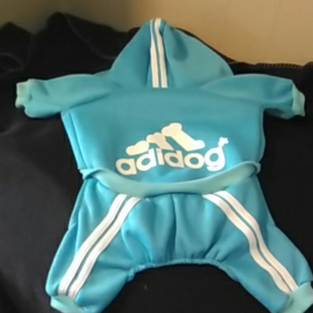 Size Large